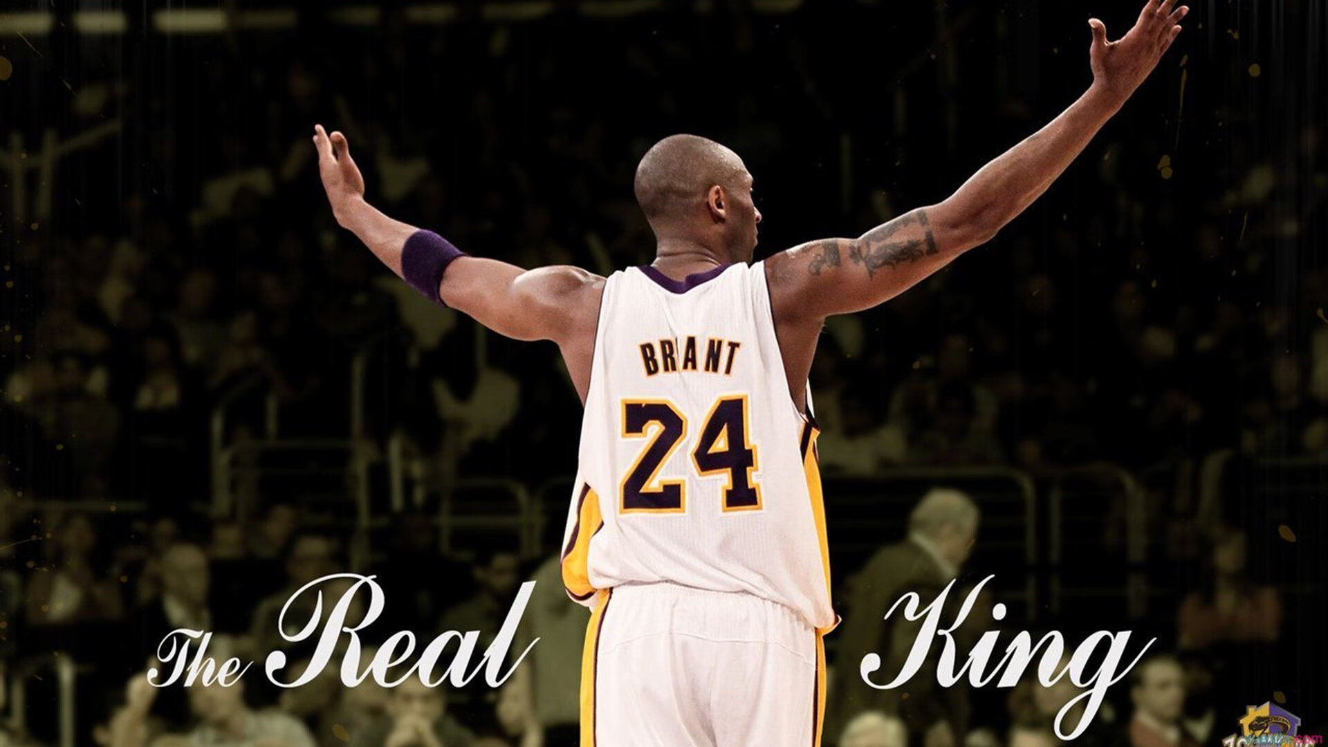 小组赛“黑马”球队的奇迹故事，nba黑马球队